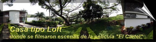 Casa Loft
